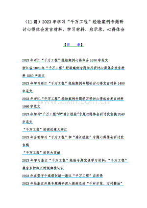（11篇）2023年學習“千萬工程”經驗案例專題研討心得體會發言材料、學習材料、啟示錄、心得體會.docx